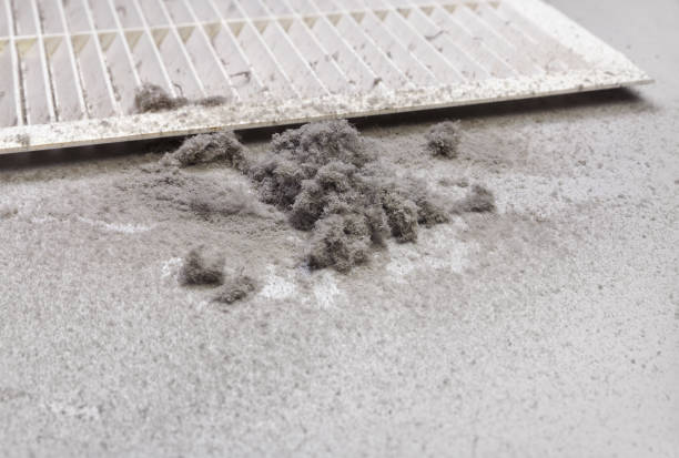 Best Air Duct Cleaning Near Me  in New Albany, MS